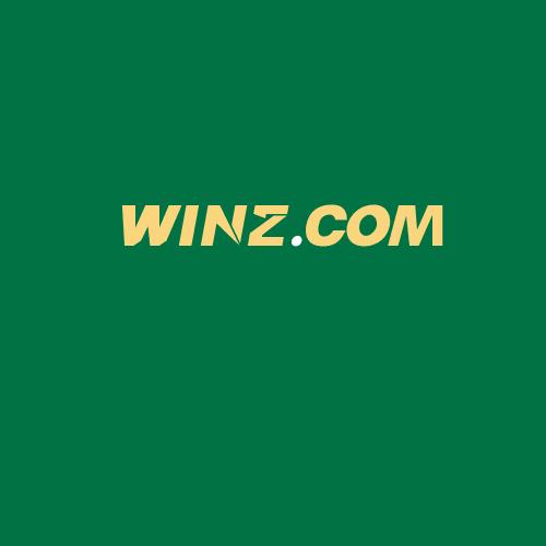 Logo da WINZ